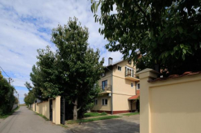 AVIATOR Apartments & Rooms Nikola Tesla Airport Belgrade